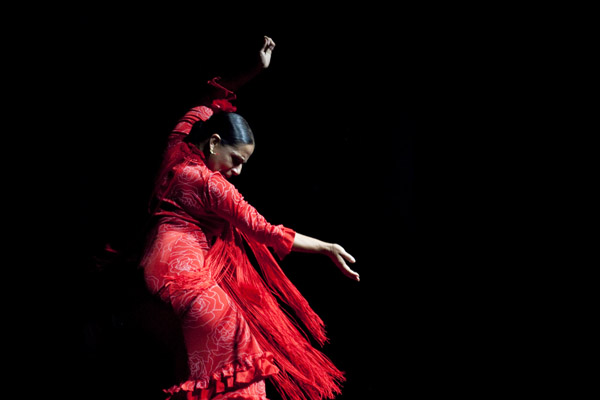 Bailando por Una Causa 2014. A dance showcase organized by Baila Society to benefit the Latino Commission on AIDS