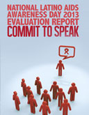 NLAAD Evaluation Report 2013