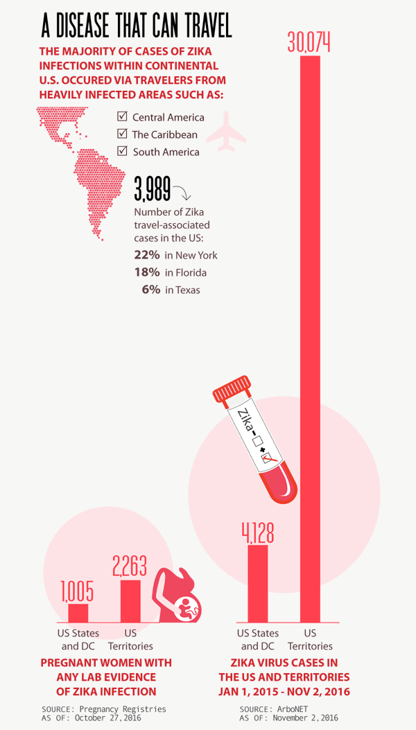 The Zika Virus: Implications and Recommendations for an Effective Prevention Strategy