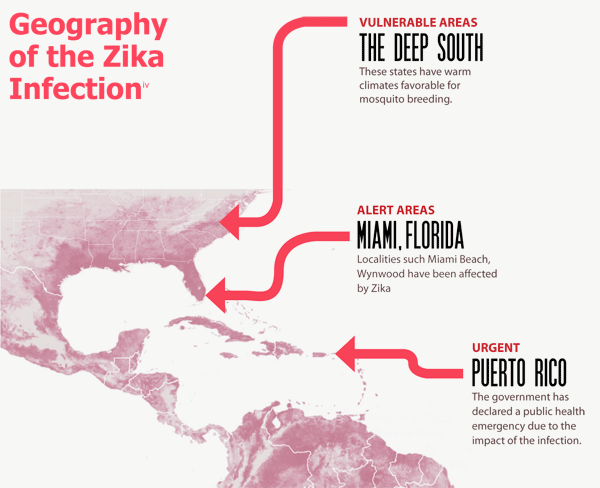 The Zika Virus: Implications and Recommendations for an Effective Prevention Strategy